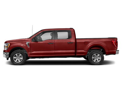 2023 Ford F-150 XLT 4WD SuperCrew 5.5' Box