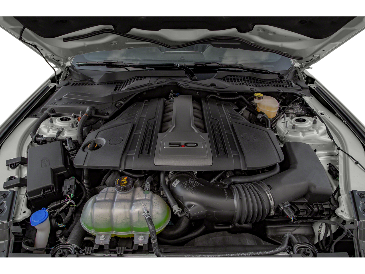 2019 Ford Mustang GT Fastback