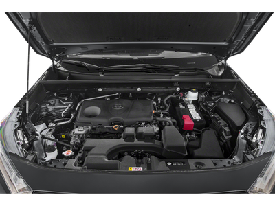 2023 Toyota RAV4 LE AWD (Natl)