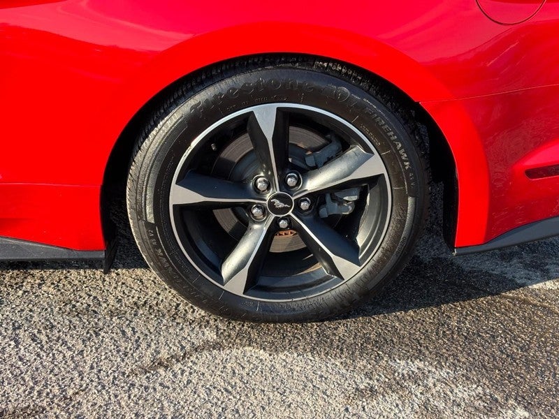 2019 Ford Mustang GT Fastback