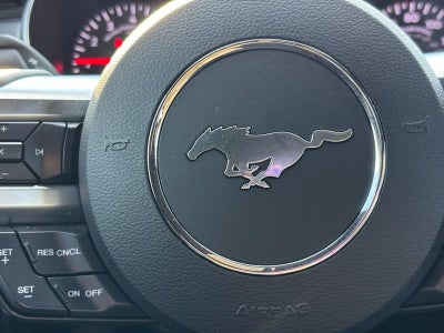 2019 Ford Mustang GT Fastback