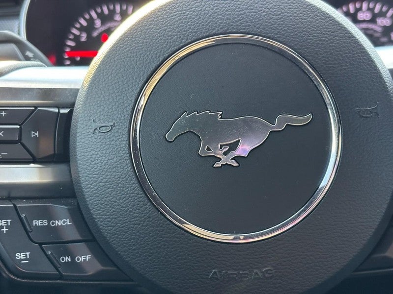 2019 Ford Mustang GT Fastback