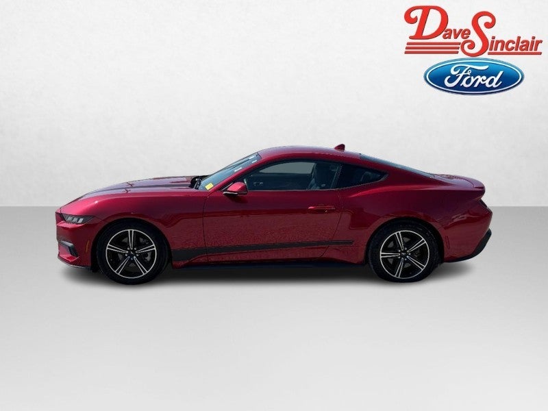 2024 Ford Mustang EcoBoost Fastback