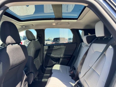 2024 Ford Escape Active AWD