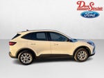 2025 Ford Escape Active AWD
