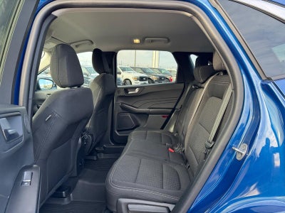 2023 Ford Escape Active AWD