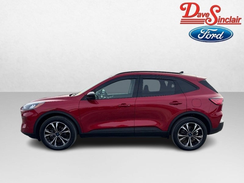 2022 Ford Escape SEL AWD