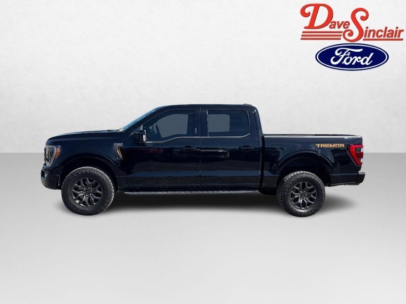 2021 Ford F-150 Tremor 4WD SuperCrew 5.5' Box