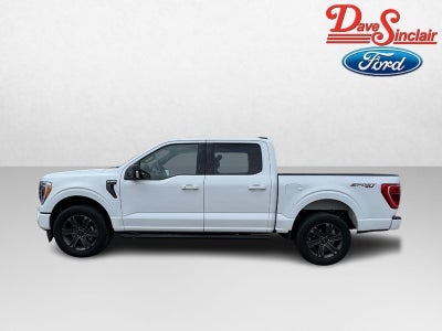 2023 Ford F-150 XLT 4WD SuperCrew 5.5' Box