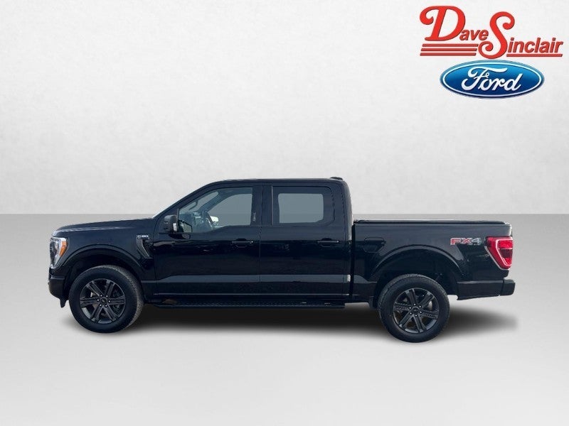 2023 Ford F-150 XLT 4WD SuperCrew 5.5' Box