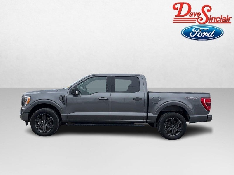 2023 Ford F-150 XLT 4WD SuperCrew 5.5' Box