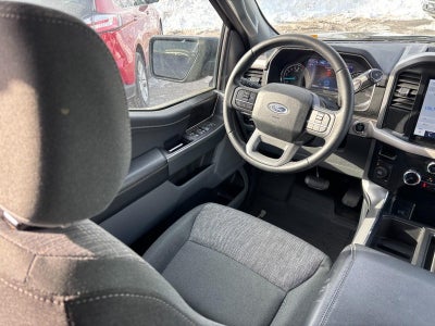 2023 Ford F-150 XLT 4WD SuperCrew 5.5' Box