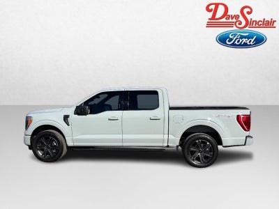 2023 Ford F-150 XLT 4WD SuperCrew 5.5' Box