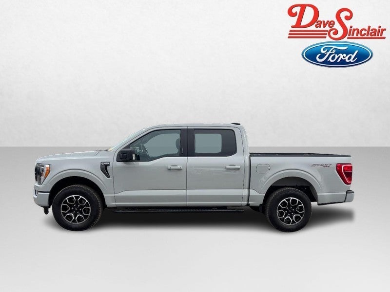 2023 Ford F-150 4WD SuperCrew 5.5' Box