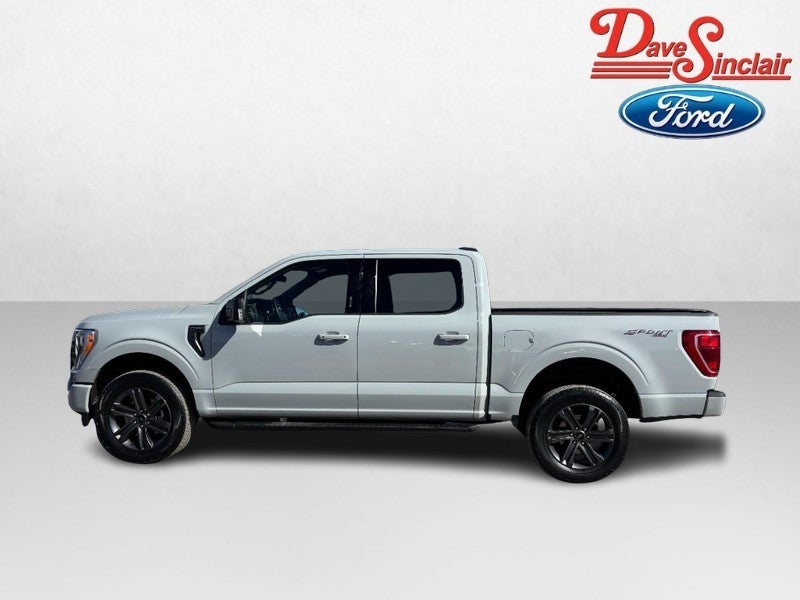 2023 Ford F-150 XLT 4WD SuperCrew 5.5' Box