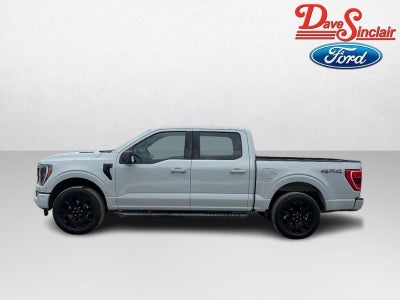 2023 Ford F-150 4WD SuperCrew 5.5' Box