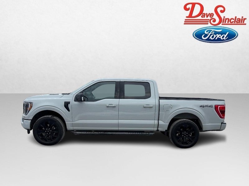 2023 Ford F-150 4WD SuperCrew 5.5' Box