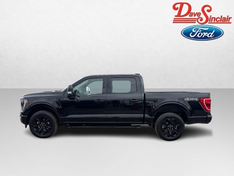 2023 Ford F-150 XLT 4WD SuperCrew 5.5' Box