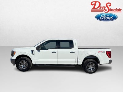 2023 Ford F-150 XLT 4WD SuperCrew 5.5' Box