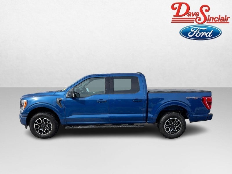 2023 Ford F-150 XLT 4WD SuperCrew 5.5' Box