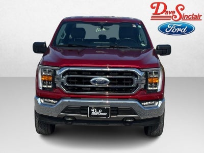 2021 Ford F-150 XLT 4WD SuperCrew 5.5' Box