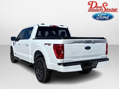 2023 Ford F-150 XLT 4WD SuperCrew 5.5' Box