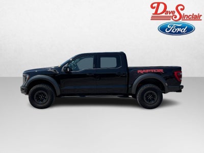 2023 Ford F-150 Raptor 4WD SuperCrew 5.5' Box