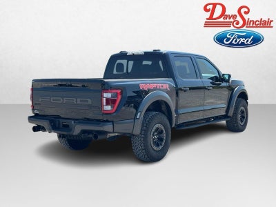 2023 Ford F-150 Raptor 4WD SuperCrew 5.5' Box