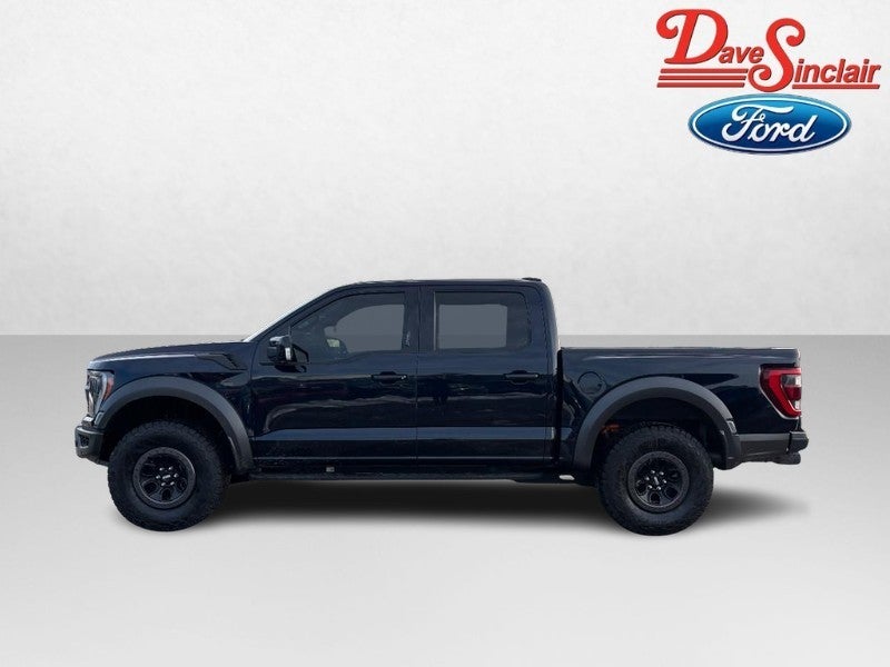 2023 Ford F-150 Raptor 4WD SuperCrew 5.5' Box