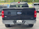 2023 Ford F-150 4WD SuperCrew 5.5' Box