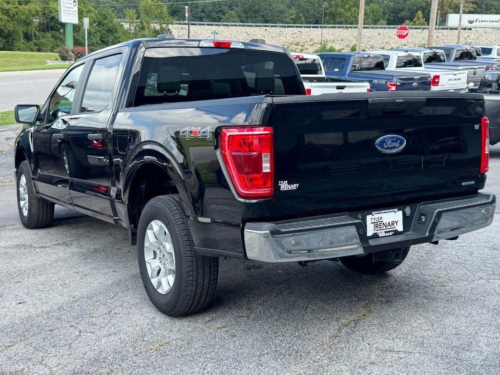 2023 Ford F-150 4WD SuperCrew 5.5' Box