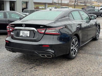 2023 Nissan Maxima SV CVT