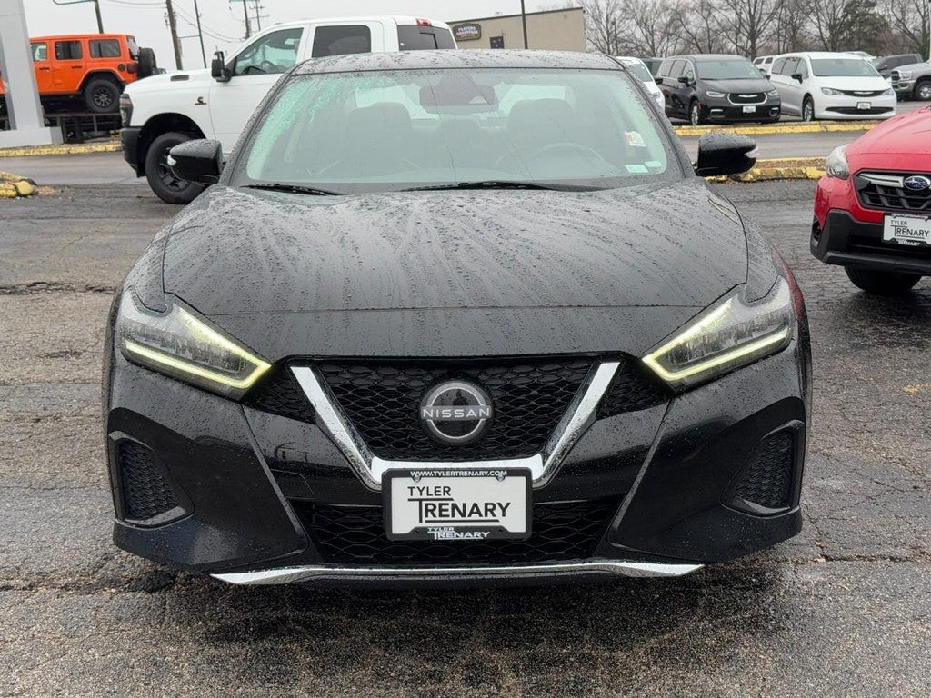 2023 Nissan Maxima SV CVT