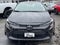 2024 Toyota Corolla LE CVT (Natl)