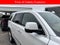2020 Cadillac Escalade 4WD 4dr Platinum