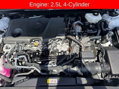 2026 Toyota Camry LE (Natl)